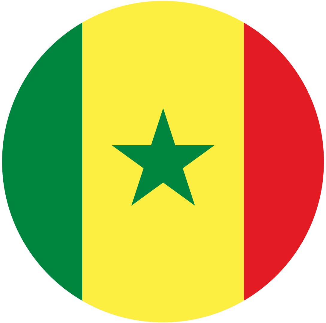 Senegal Flagge